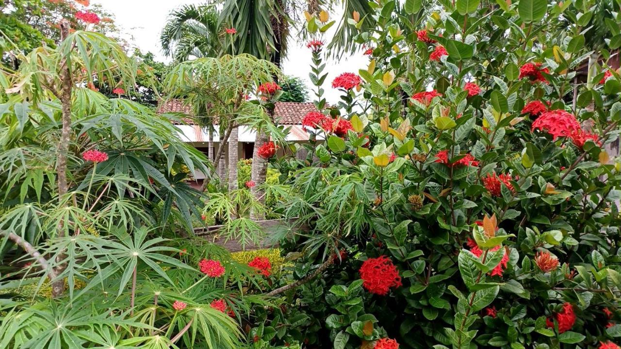 Finca Magdalena Eco Lodge Balgue Exteriör bild