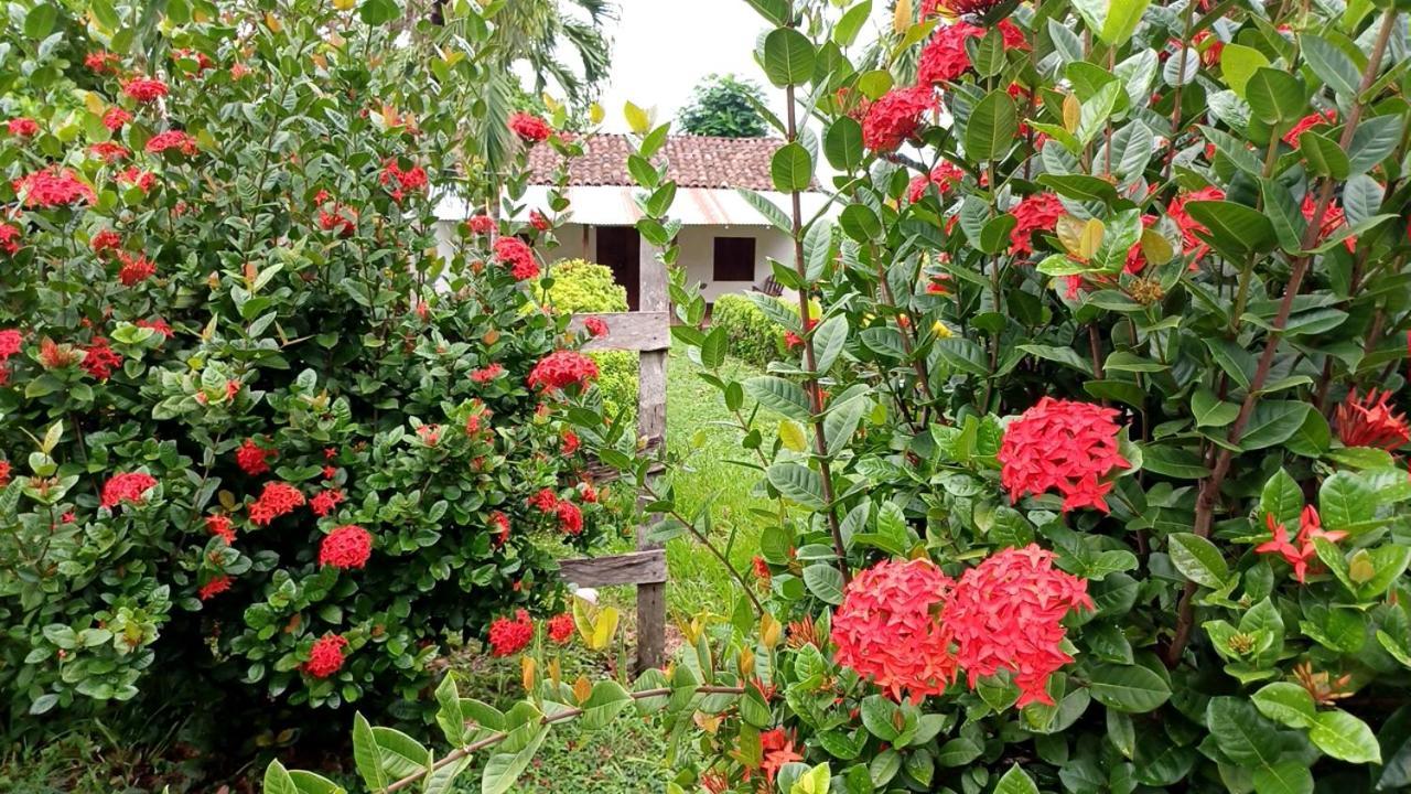 Finca Magdalena Eco Lodge Balgue Exteriör bild
