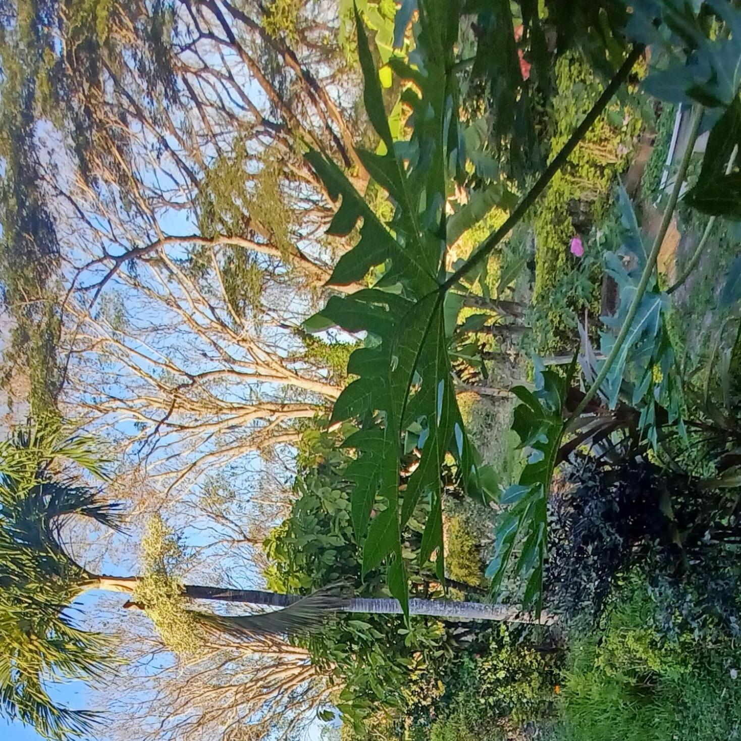 Finca Magdalena Eco Lodge Balgue Exteriör bild