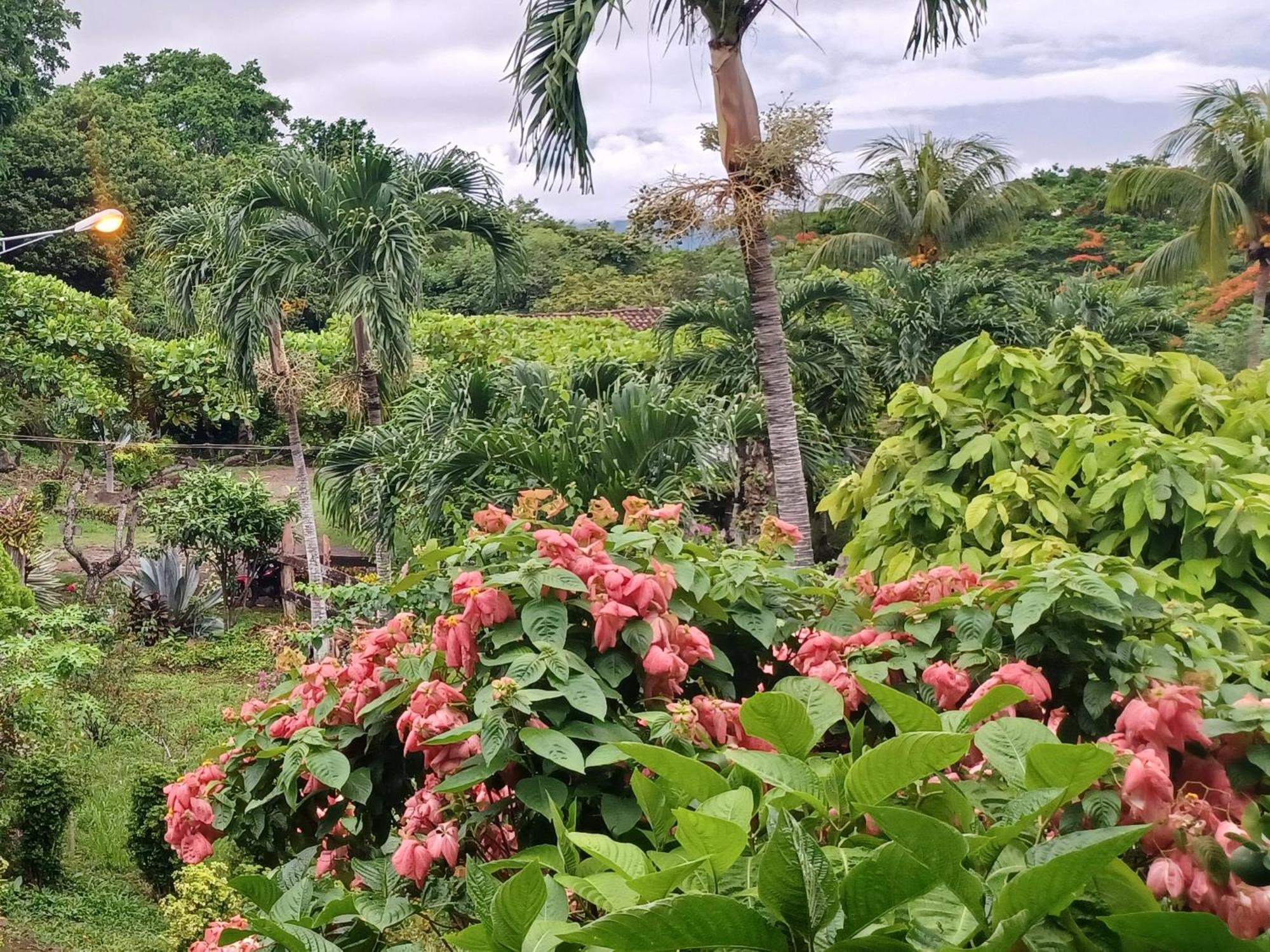 Finca Magdalena Eco Lodge Balgue Rum bild